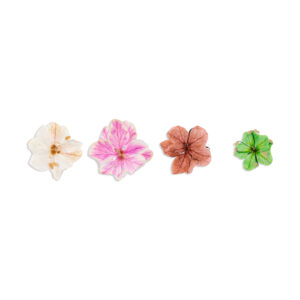 00f6acd-174856-natura-flowers-inocos-2.jpg