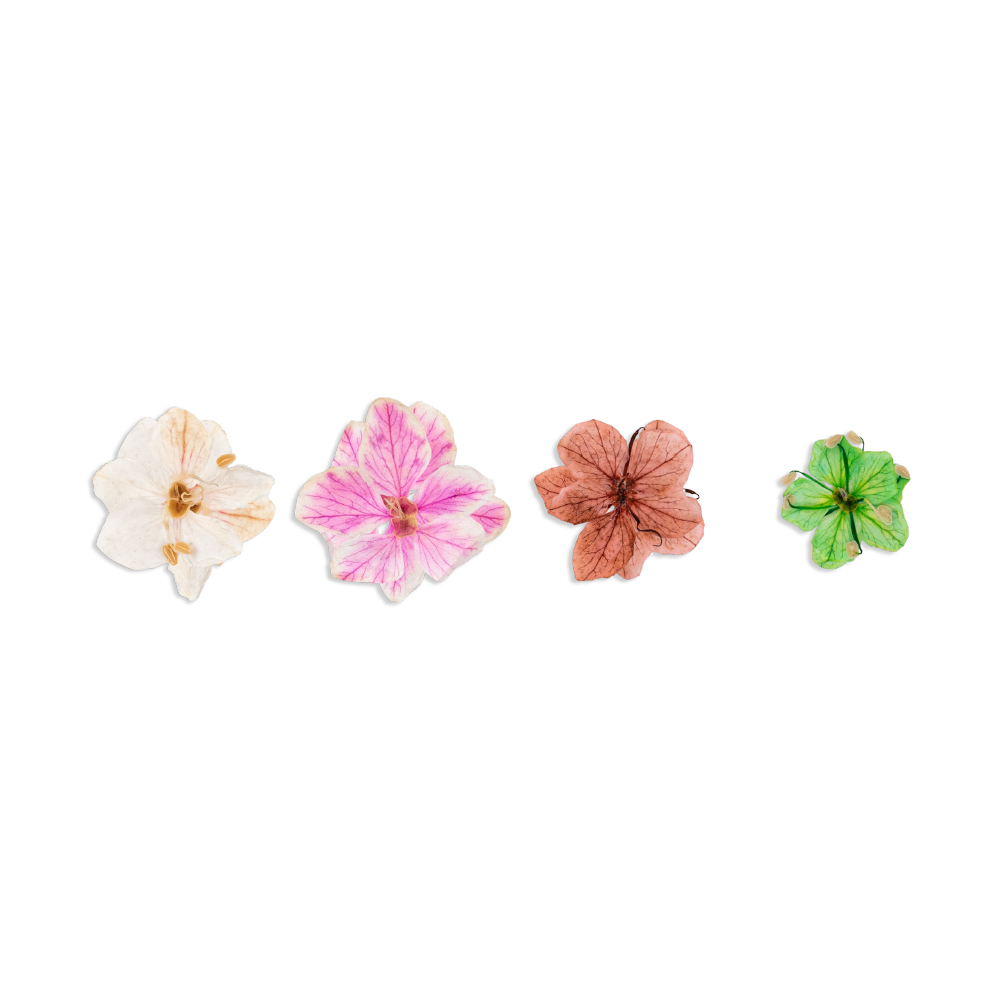 Natura Flowers INOCOS