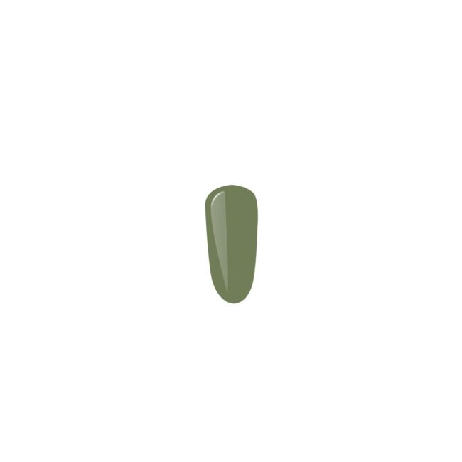 5578-large_default.jpg