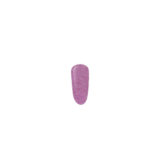 6640-large_default.jpg