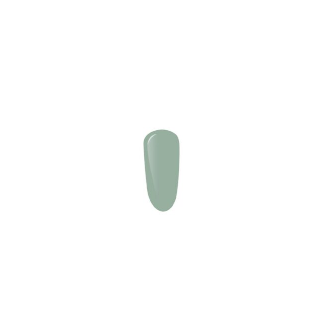 6643-large_default.jpg