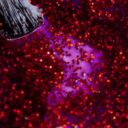 7f50f90-112720-verniz-gel-inocos-e-julieta-3.jpg