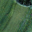 bdabc86-105911-verniz-gel-inocos-cateye-esmeralda-3.jpg