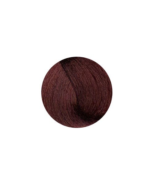 Creme Colorante Keratin Trendy 6.5 Louro Escuro Acajou  - VIOLET