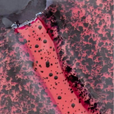 Top Coat INOCOS Dálmata Preto Mate