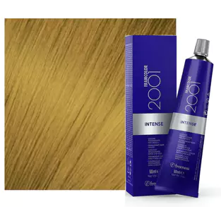 FRA FRAMCOLOR 2001 INTENSE 10.33 60 ML