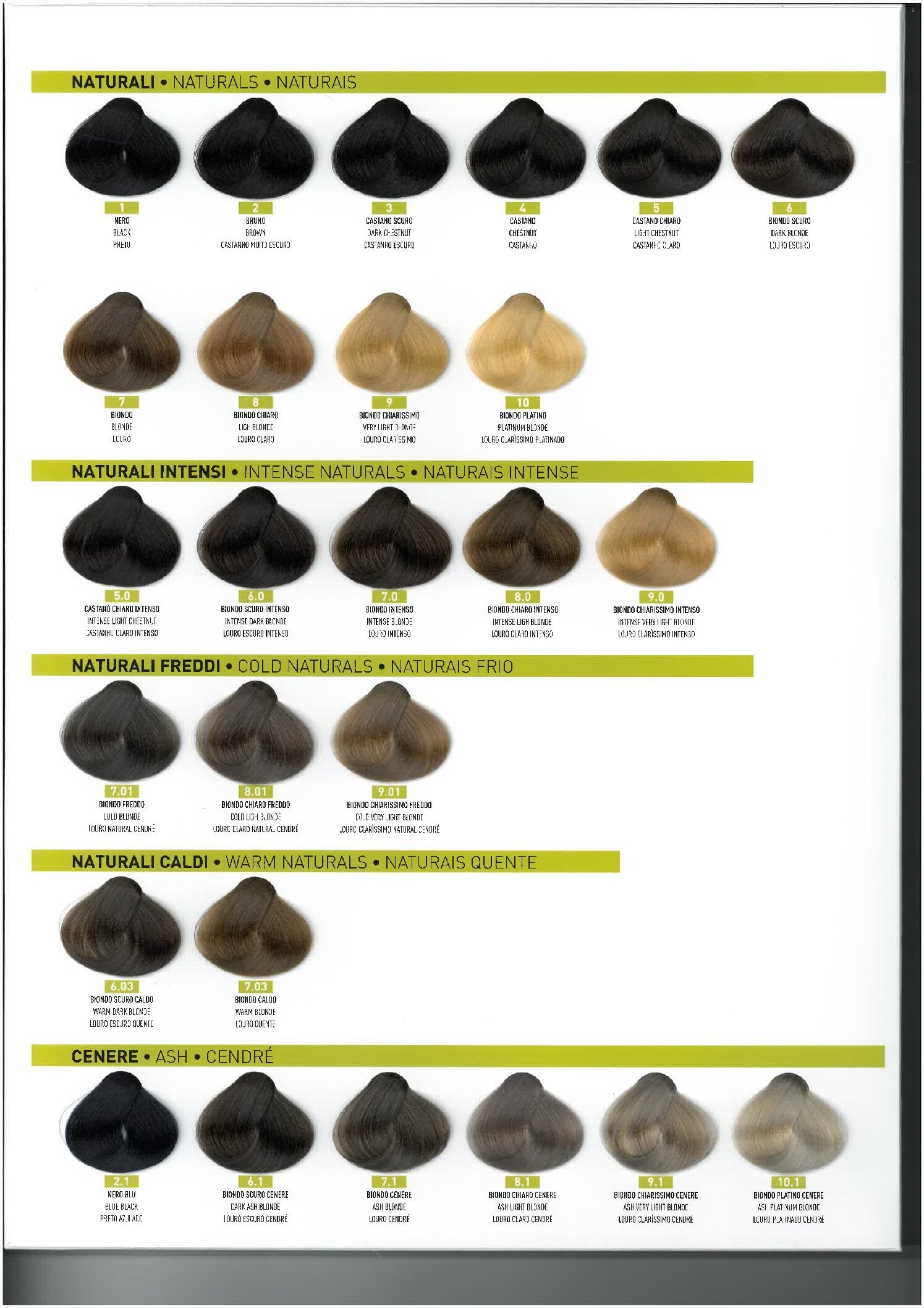 COLORAÇÃO S/ AMONIACO ENZO - Nº7 100ML