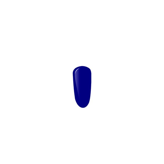 3622-large_default.jpg
