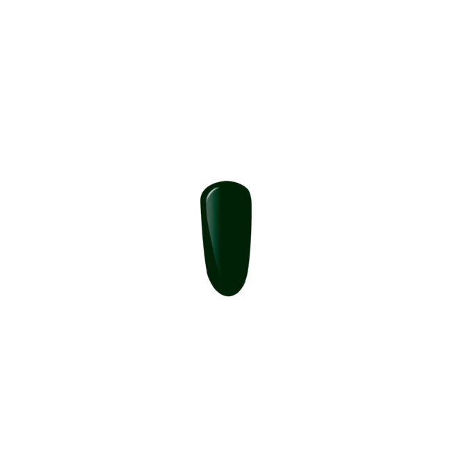 4041-large_default.jpg