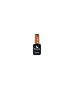 VERNIZ GEL PURPLE FAMOUS PAINTING-2201