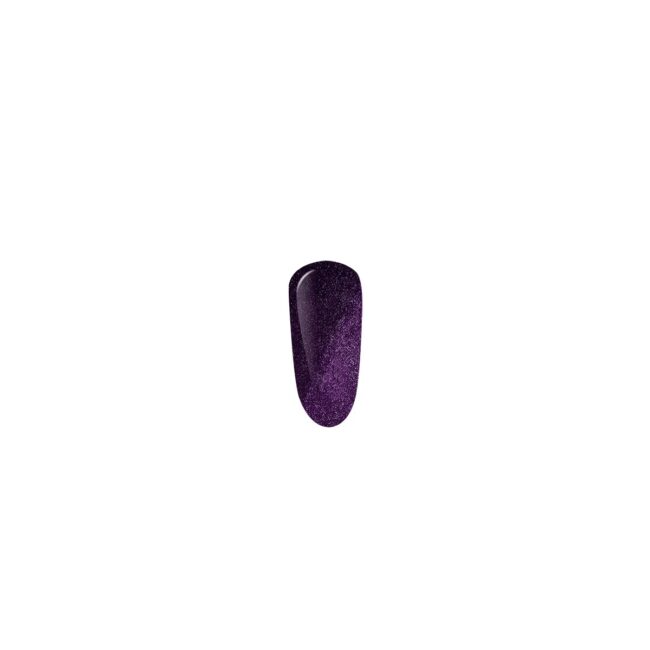 5628-large_default.jpg