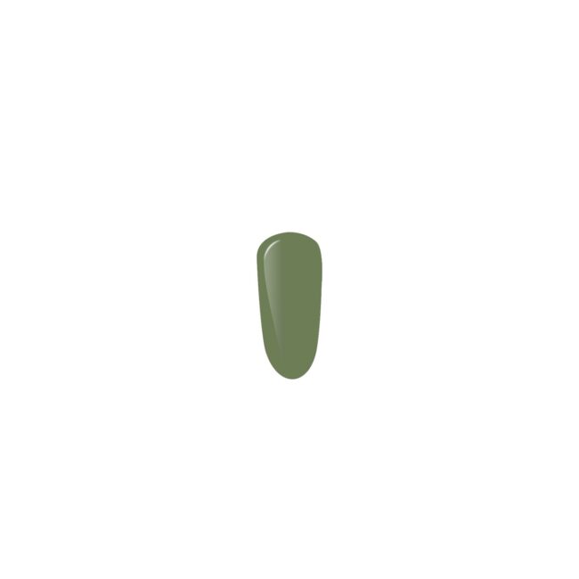6691-large_default.jpg