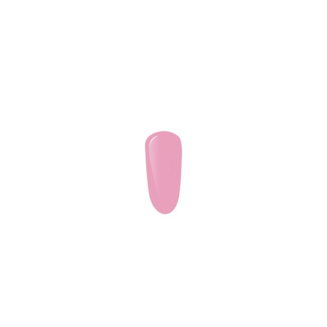 6702-large_default.jpg