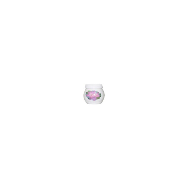 808-large_default.jpg