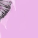 99220f2-091118-like-gel-inocos-169-violeta-pastel-2.jpg