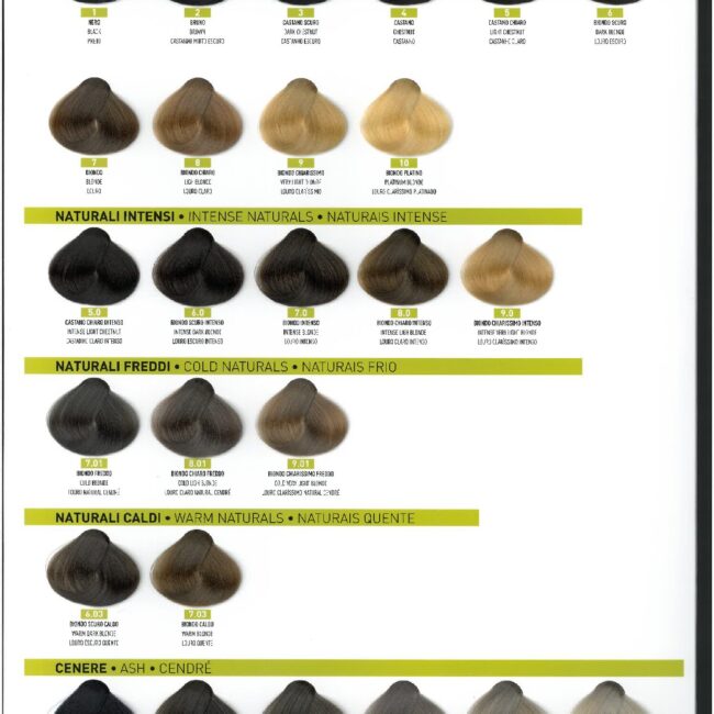 ENZO-LOJA-ONLINE2-2-pdf.jpg