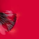 bb2ae92-150219-like-gel-inocos-121-vermelho-vivo-2.jpg
