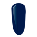 pvgp2081a.png