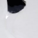 50b8e4a-110257-liquid-acrygel-inocos-transparente-2