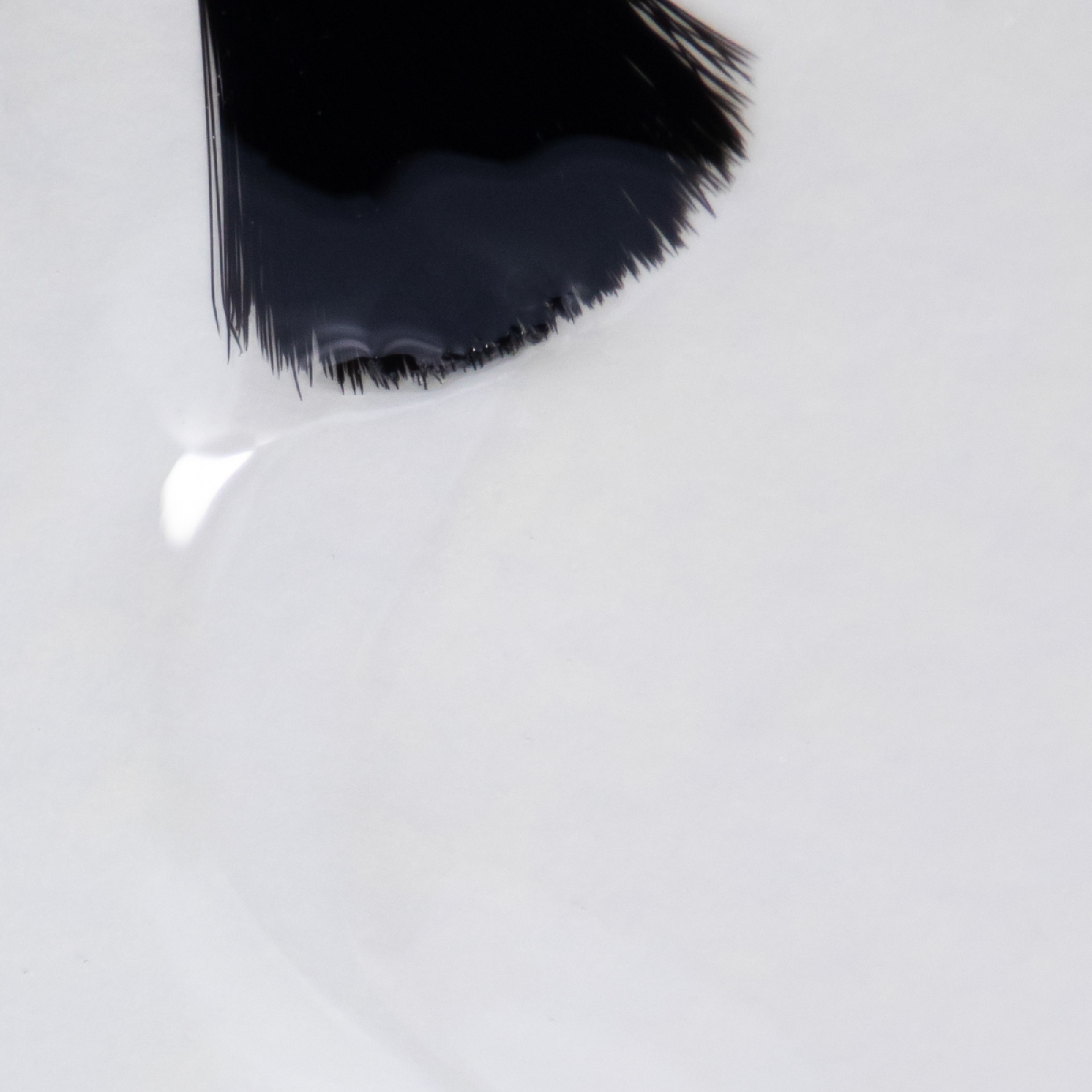 Liquid Acrygel INOCOS Transparente 15 ml